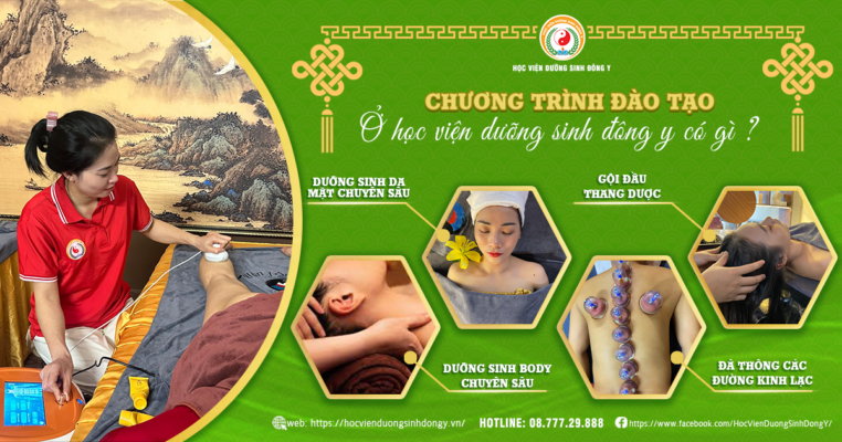 Chương trình đào tạo của học viện dưỡng sinh đông y
